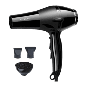 Professional Ionic Hair Blow Dryer